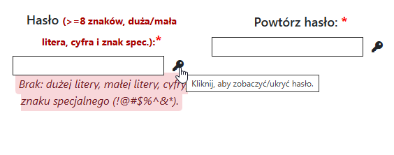 Pole hasła z ikoną klucza